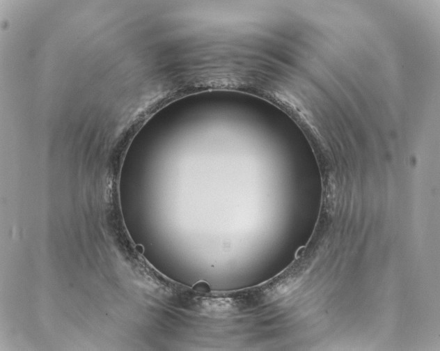 X0000089430355200706291320