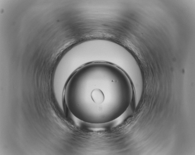 X0000089430356200706291320