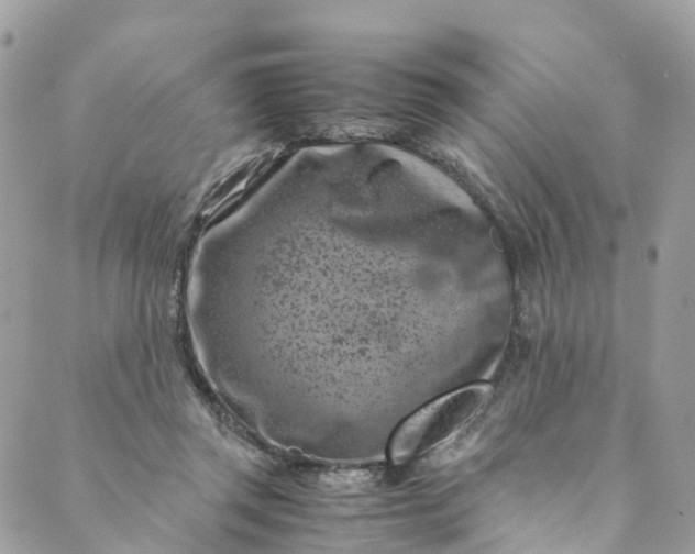 X0000089430357200706291320