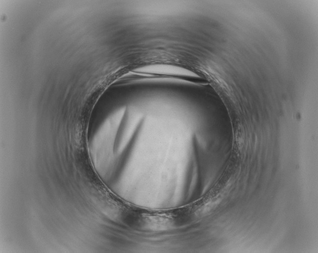 X0000089430359200706291320