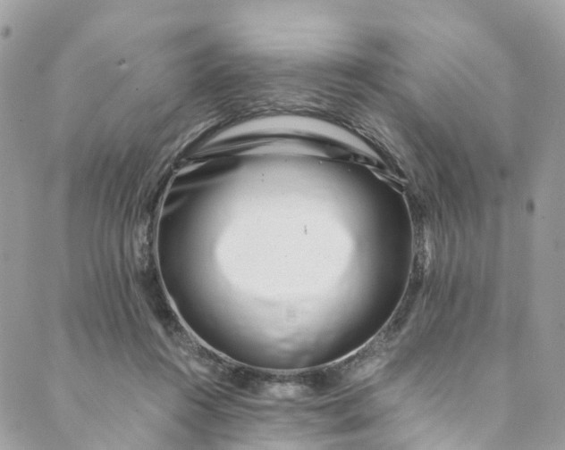 X0000089430360200706291320