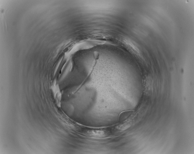 X0000089430361200706291320