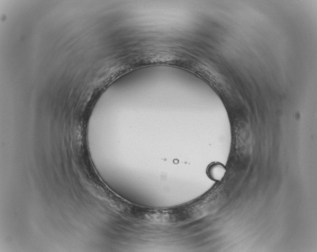 X0000089430362200706291320