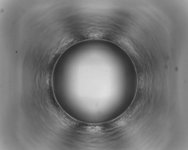 X0000089430363200706291320