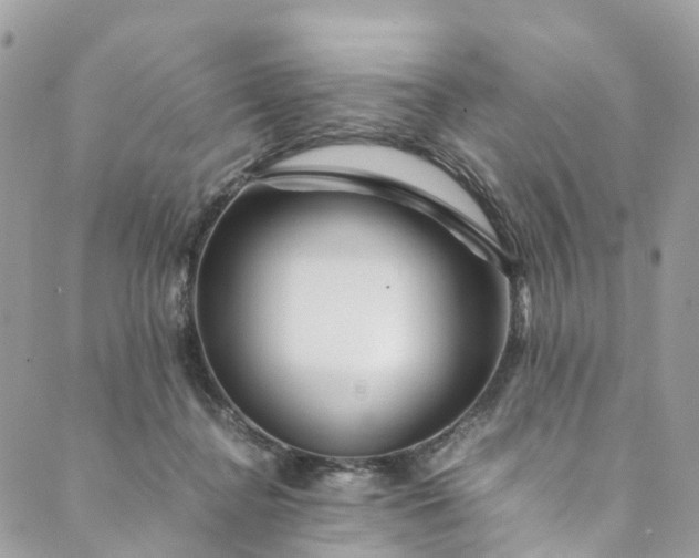 X0000089430364200706291320