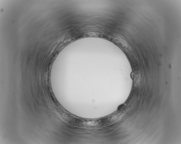 X0000089430365200706291320