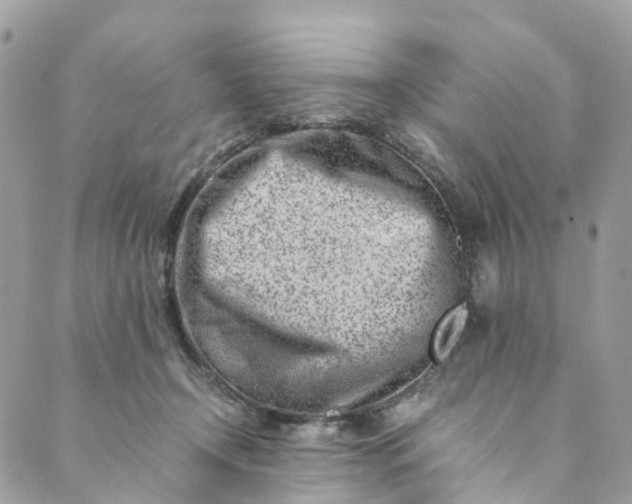 X0000089430366200706291320