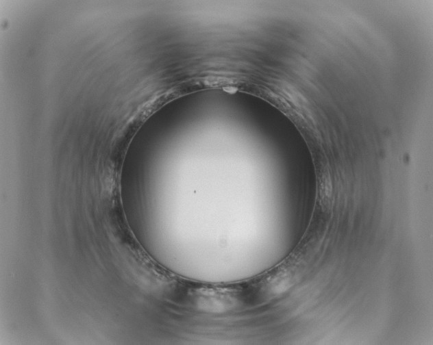 X0000089430367200706291320