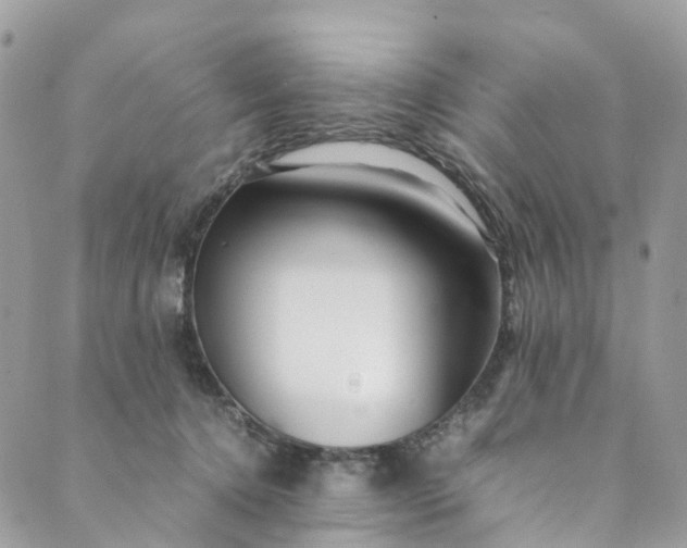 X0000089430368200706291320