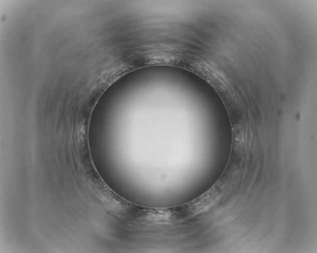 X0000089430369200706291320