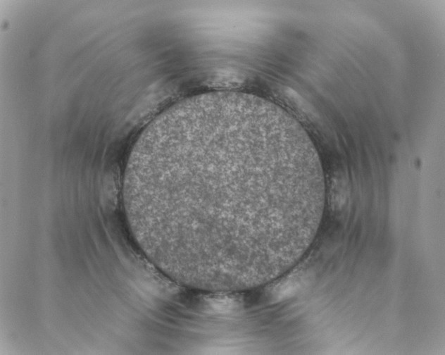 X0000089430370200706291320