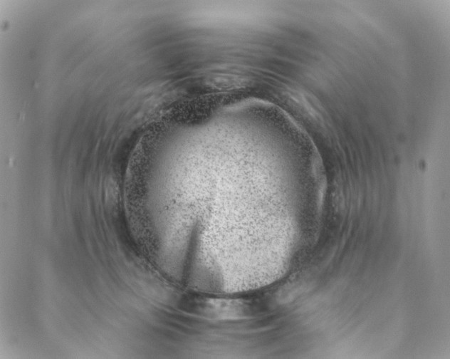 X0000089430371200706291320