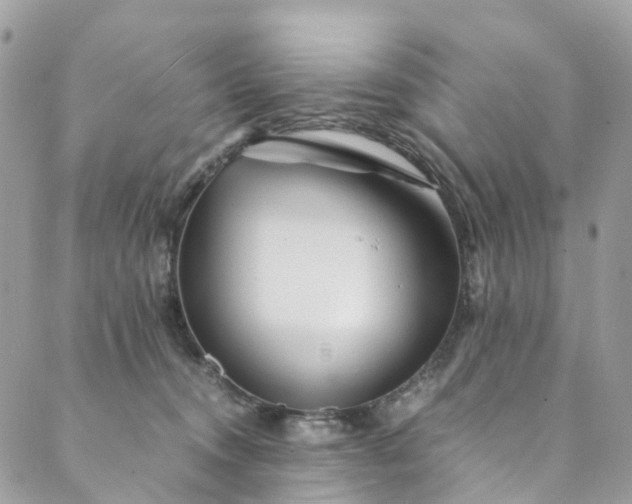 X0000089430372200706291320