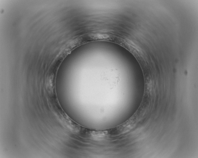 X0000089430373200706291320