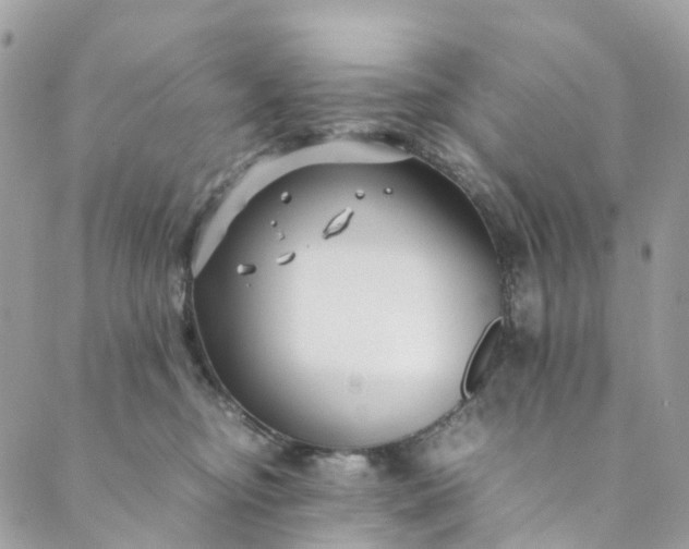 X0000089430374200706291320