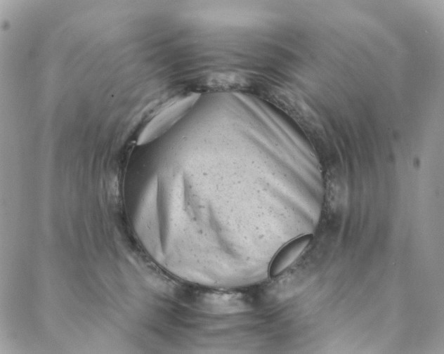 X0000089430375200706291320