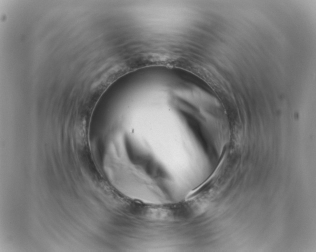 X0000089430376200706291320