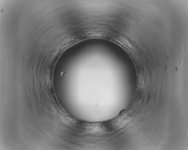 X0000089430377200706291320