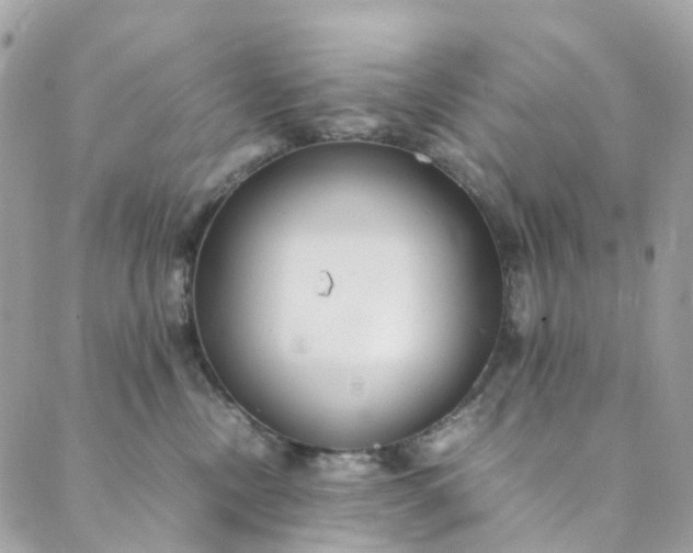 X0000089430378200706291320