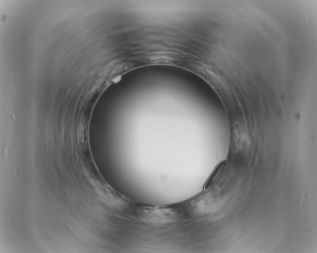 X0000089430379200706291320