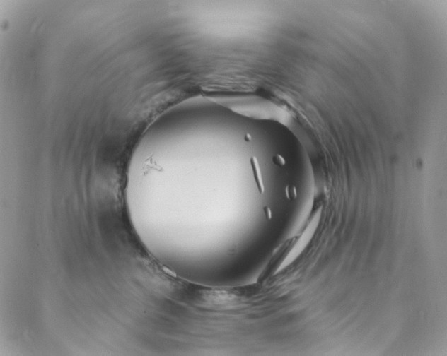 X0000089430380200706291320