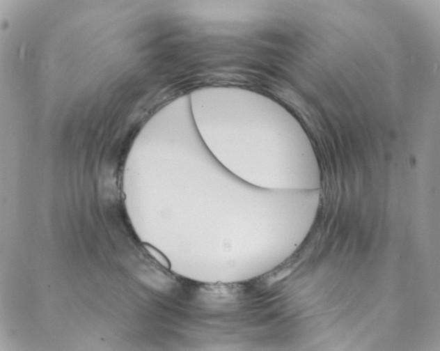 X0000089430381200706291320