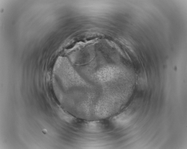 X0000089430382200706291320