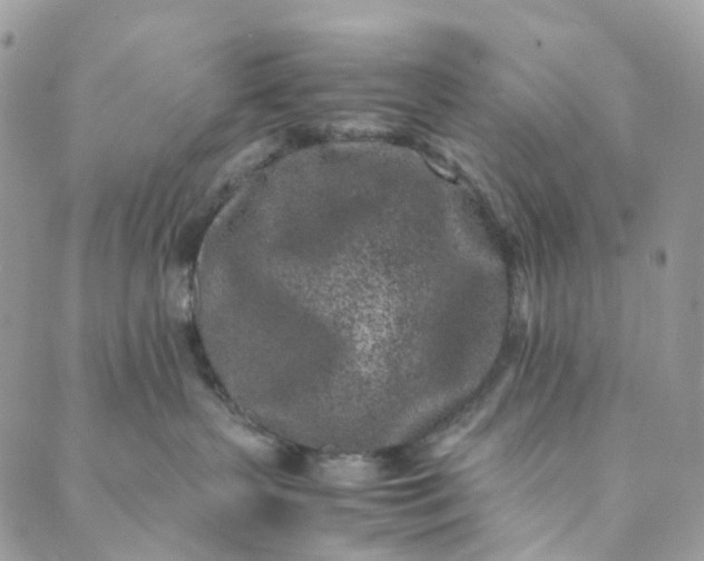 X0000089430383200706291320