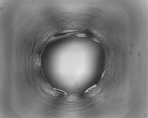 X0000089430384200706291320