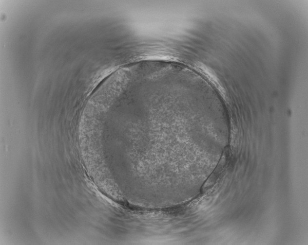 X0000089430385200706291319