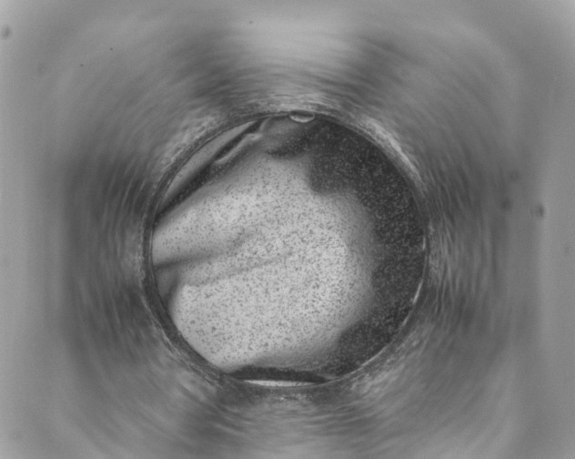 X0000089430386200706291319