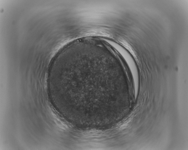 X0000089430387200706291319