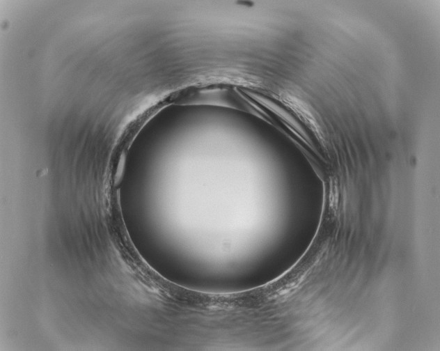 X0000089430388200706291319