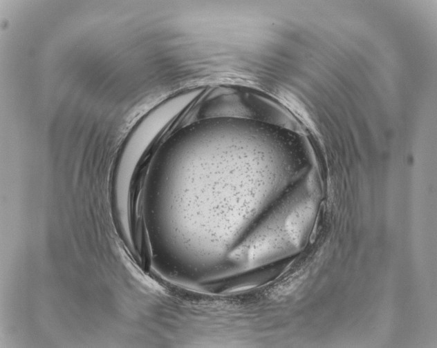 X0000089430389200706291319