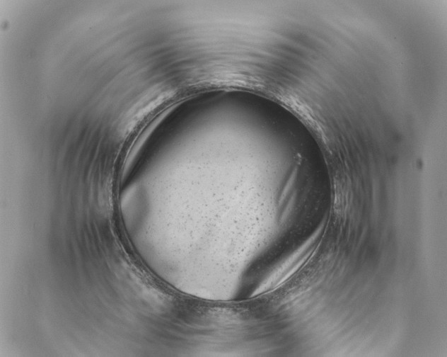 X0000089430390200706291319