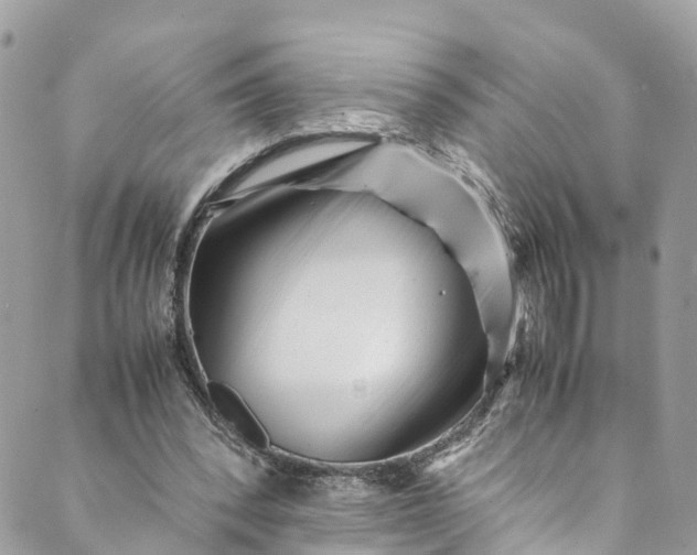 X0000089430392200706291319