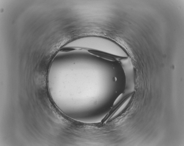 X0000089430393200706291319