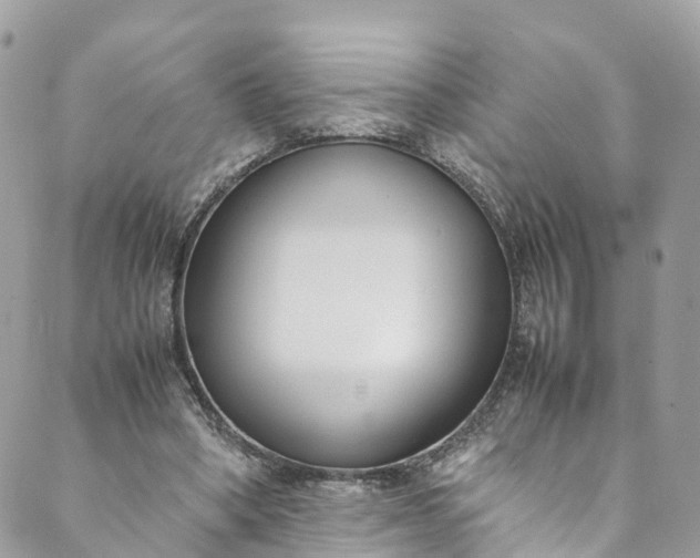 X0000089430394200706291319