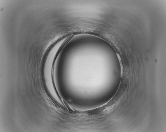 X0000089430395200706291319