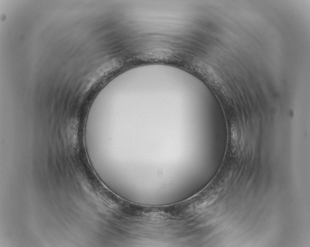 X0000089430396200706291319