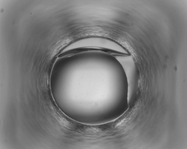 X0000089430397200706291319