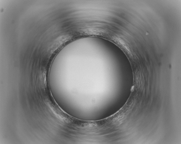 X0000089430398200706291319