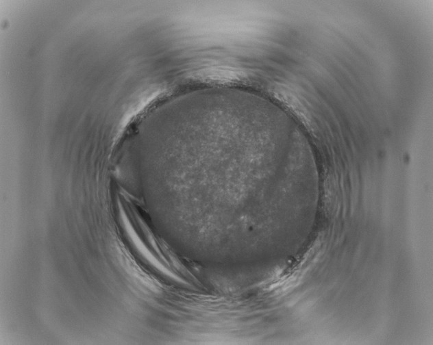 X0000089430399200706291319