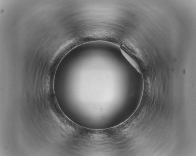 X0000089430400200706291319