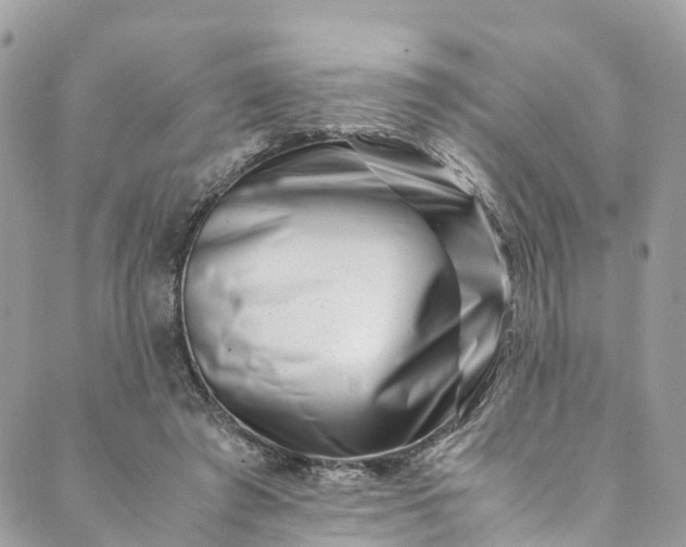 X0000089430401200706291319