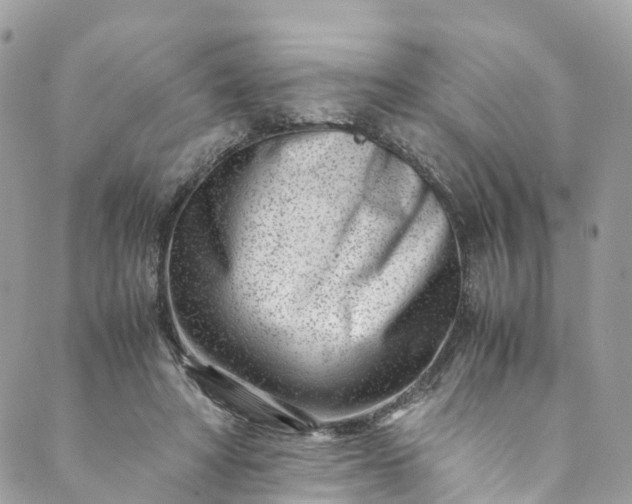 X0000089430402200706291319