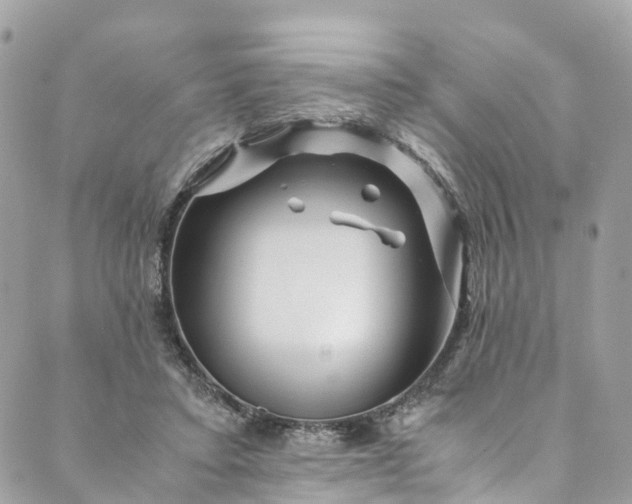 X0000089430403200706291319