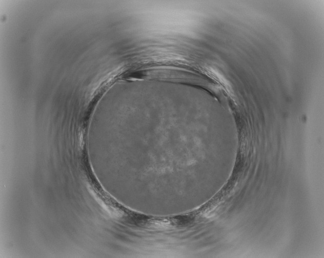 X0000089430405200706291319