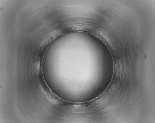 X0000089430406200706291319