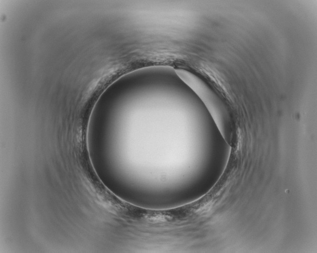 X0000089430407200706291319